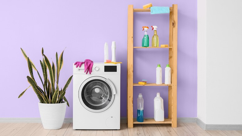 purple laundry room