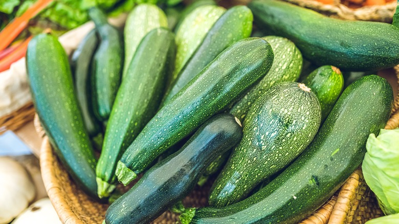 zucchini bundle