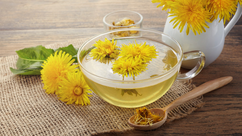 Dandelion flowers and tea