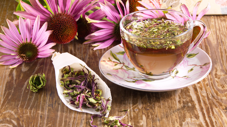 Echinacea flowers and tea