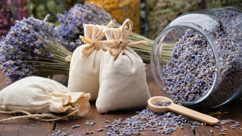 Dried lavender flowers in jar