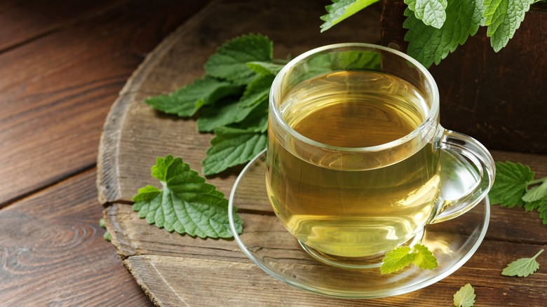 Lemon balm leaves and tea