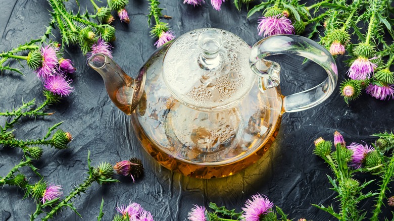 Milk thistle flowers and tea