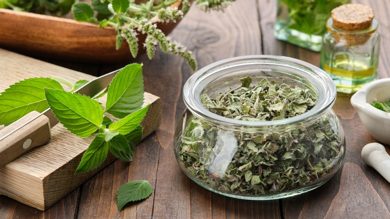 Fresh and dried mint leaves