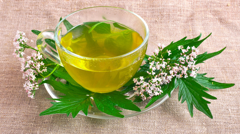 Valerian flowers and tea