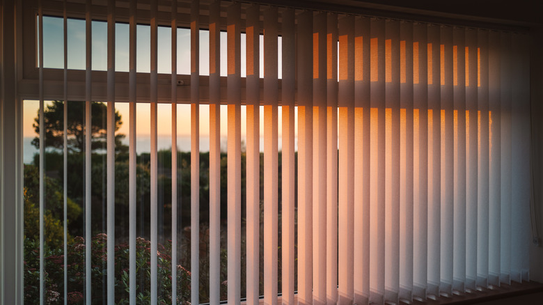 Vertical slat blinds at dusk