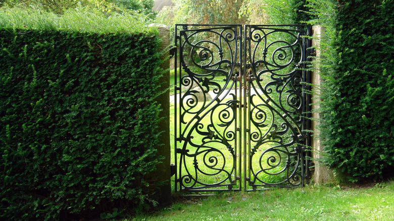 beautiful backyard gate