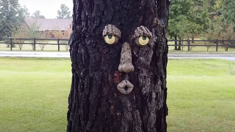 face on a tree