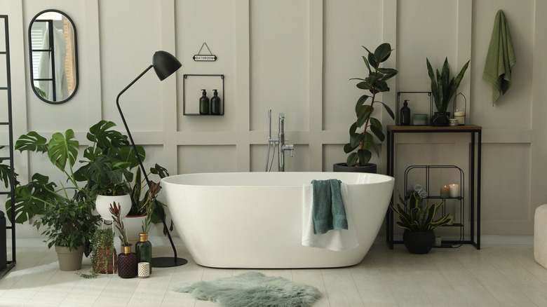 bathtub and plants