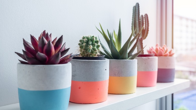 Colorful painted plant pot