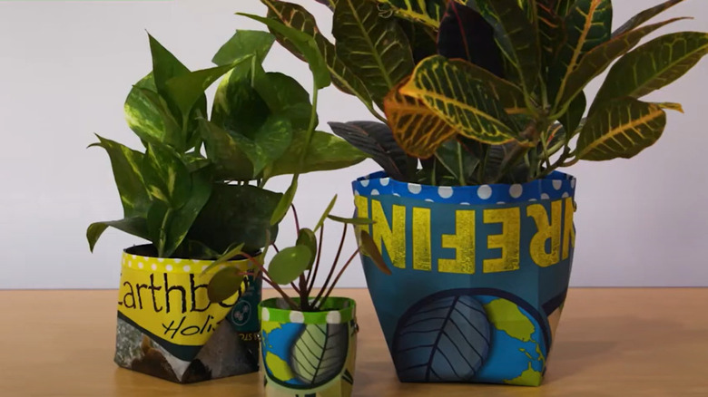 plants in upcycled bag pots