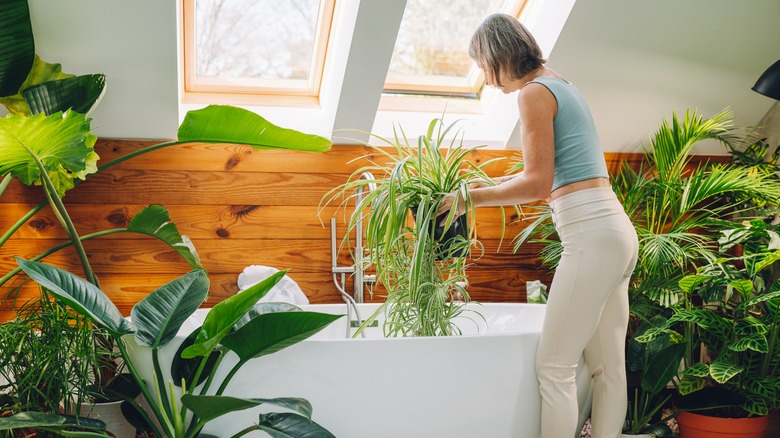 Woman holding plant pot over white bathtub in a bathroom surrounded by plants