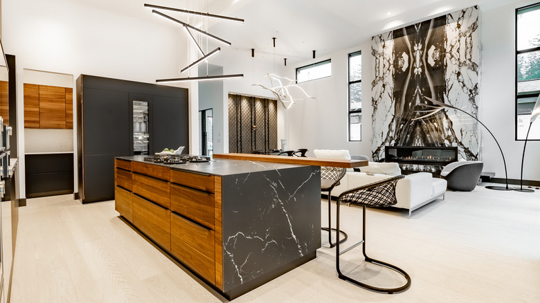 Modern kitchen with wood cabinetry