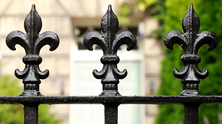 a close up of fleur-de-lis topped wrought iron fence