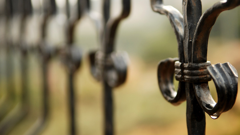 close up of iron wrought fence