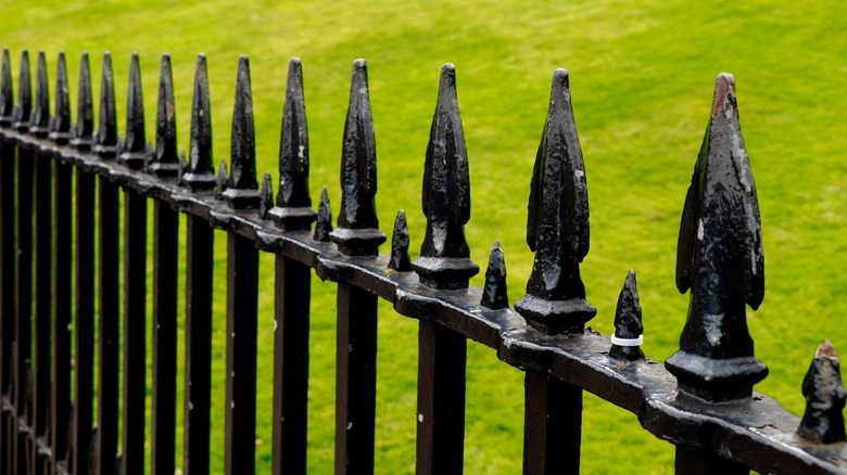 an angled look at a spear topped wrought iron fence