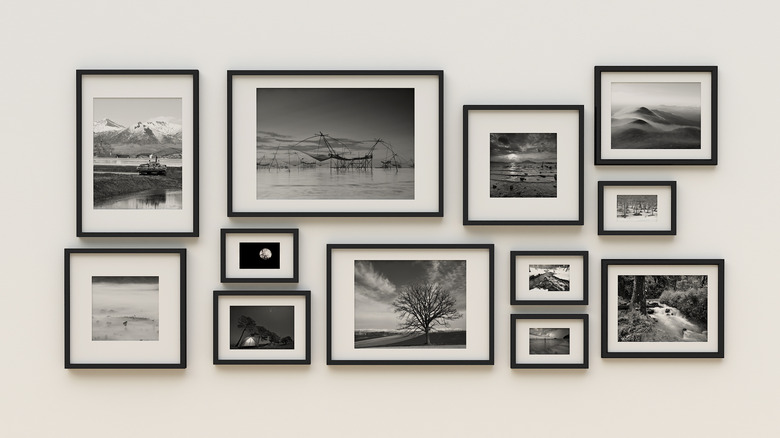 black and white photo assortment