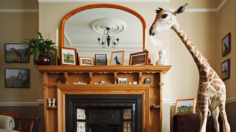 giraffe photos on mantle 