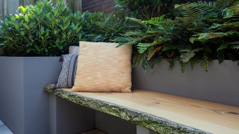 wooden bench and plants