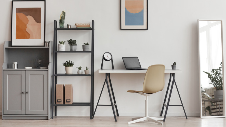 small plants on shelf in office