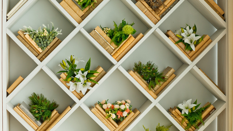 plants and books on shelf