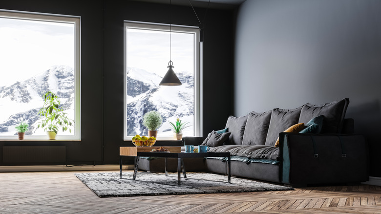 dark colored living room