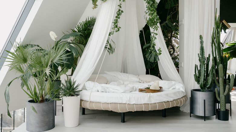 Tropical white bedroom