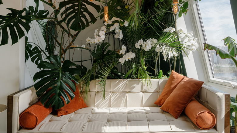 Tropical plants in living room