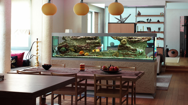 fish tank in a dining room