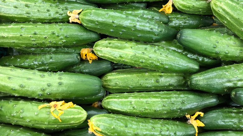 Close up of harvested cucumbers