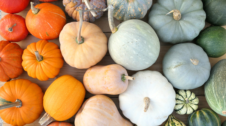 Variety of winter squash