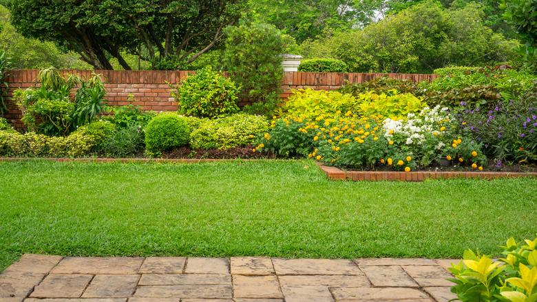 a backyard with a garden