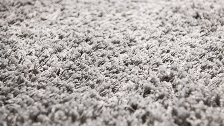 close up shag rug