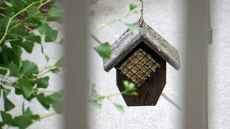 Hanging bird feeder