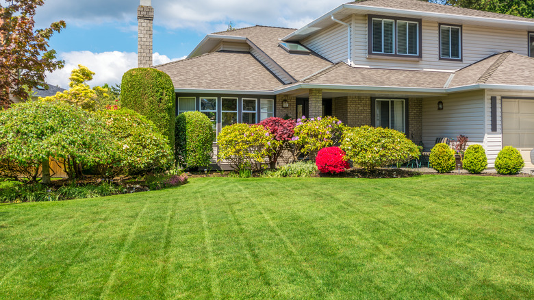 Freshly mowed lawn