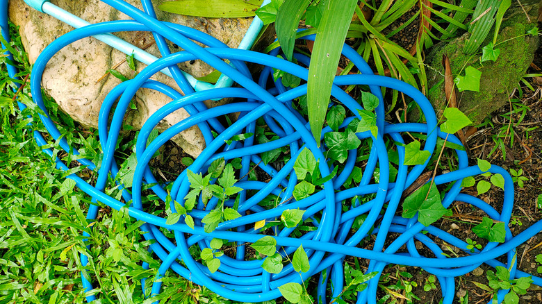 Garden hose left in garden