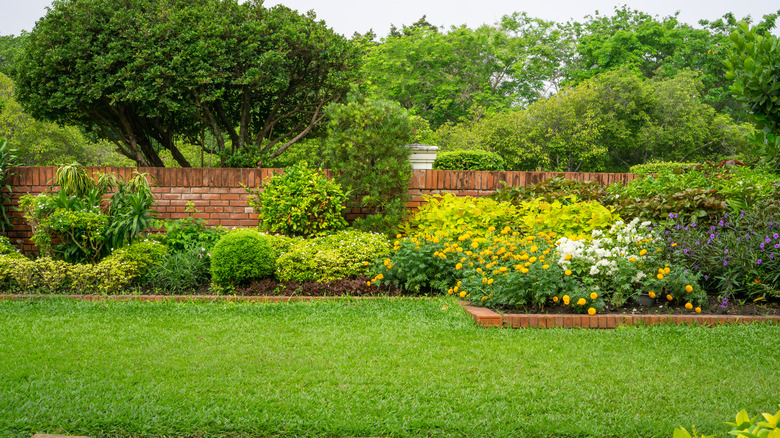 colorful flowering garden