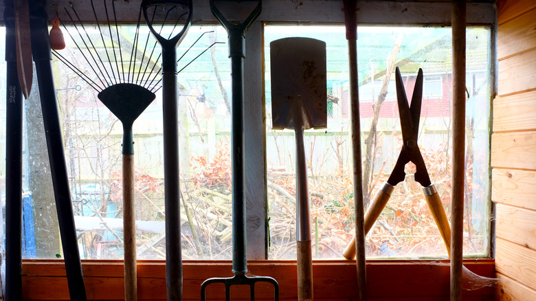 Garden tools hanging up in a shed