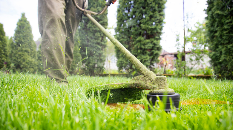 man mowing grass with lawn mower.