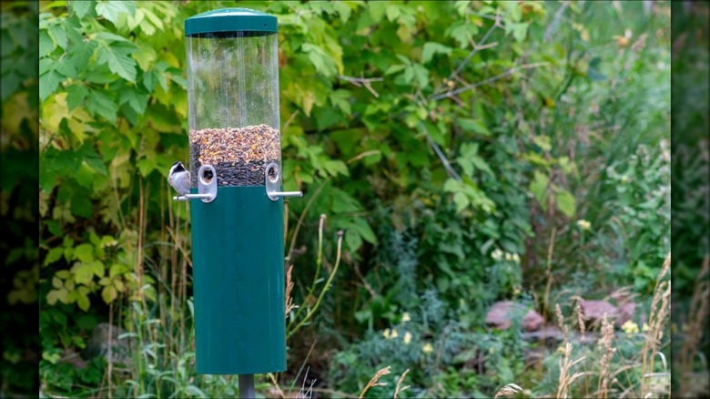 Bird's Choice NP431 Classic Bird Feeder