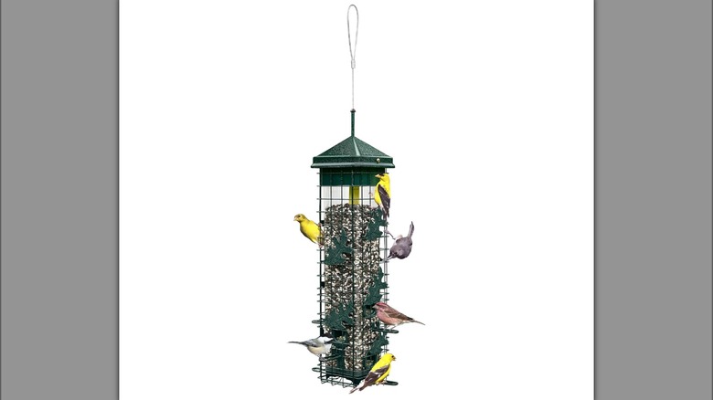 Brome Squirrel Solution 200 Squirrel-Proof Bird Feeder