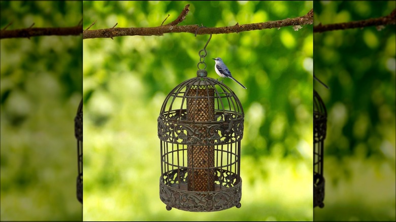 Westcharm Caged Squirrel Proof Bird Feeder