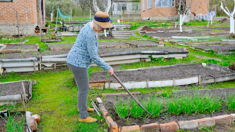 elderly woman using a hoe