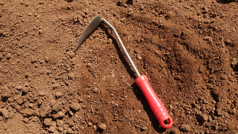 swage hoe lying in soil