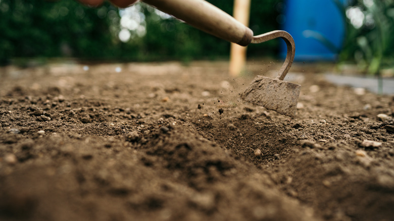 using swan neck hoe in soil 