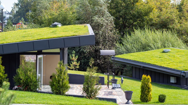 green roof with grass