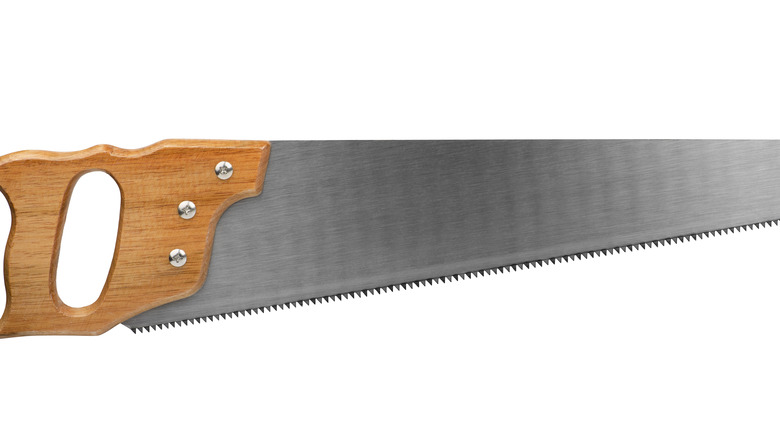 crosscut saw on white background