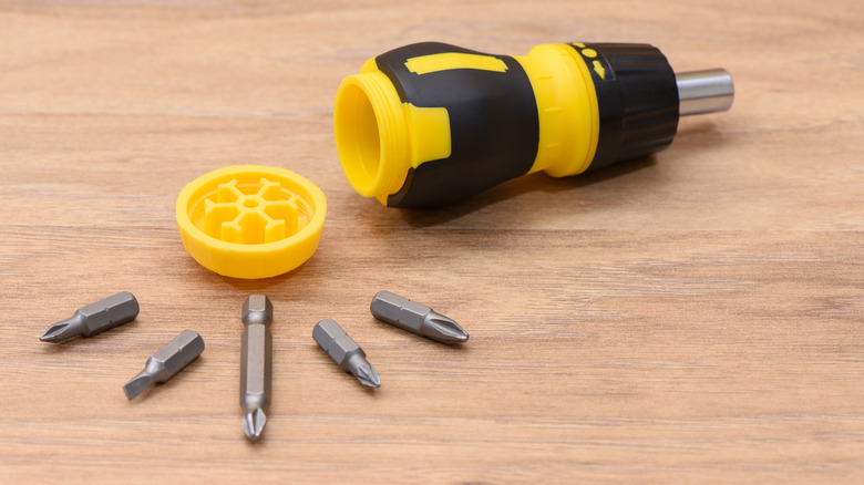 Screwdriver that holds multiple bits