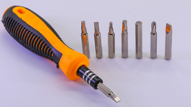 Torx screwdriver with multiple bits