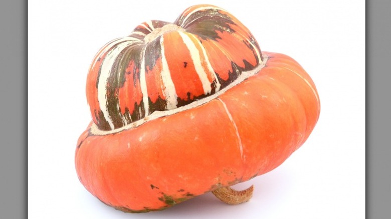 Isolated Turban squash